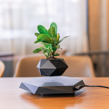 Levitating Magnetic Flower Planter
