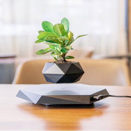 Levitating Magnetic Flower Planter